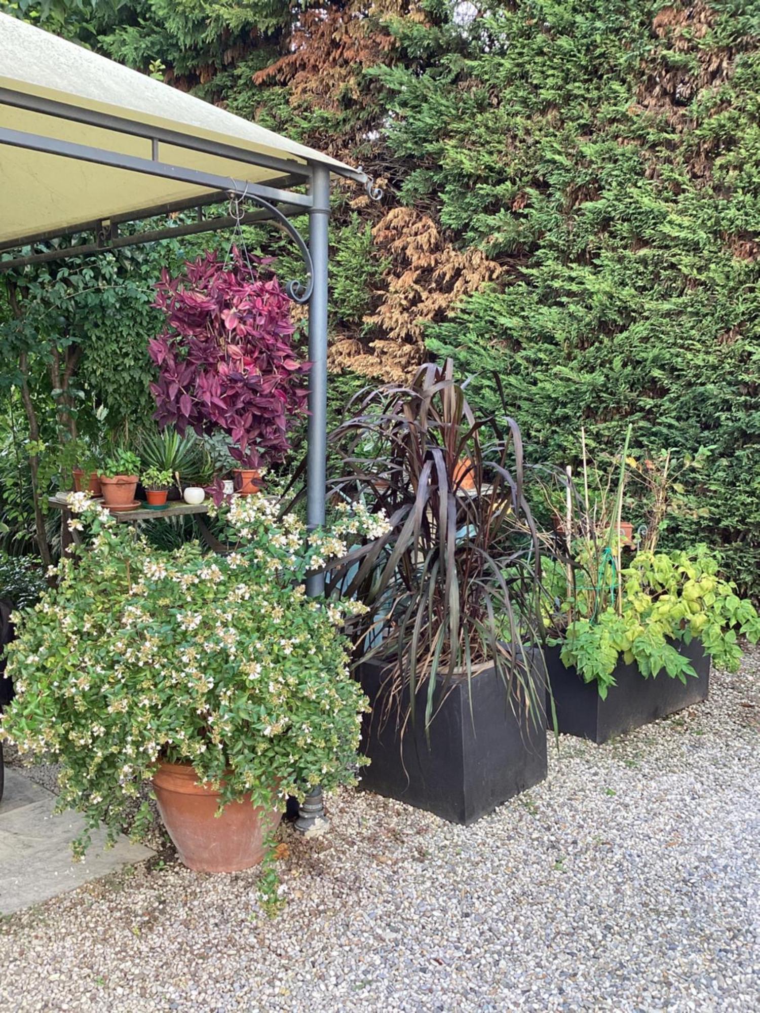 Bed and Breakfast Il Villino Della Duchessa Parma Exterior foto